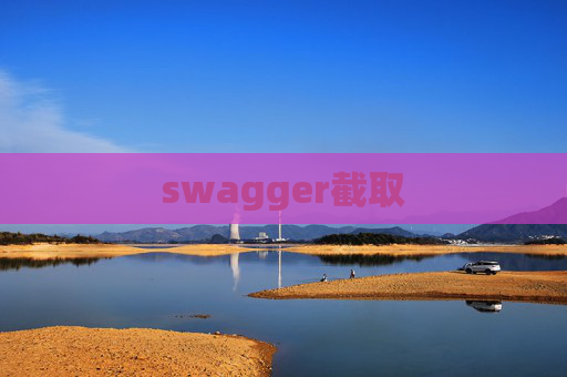 swagger截取